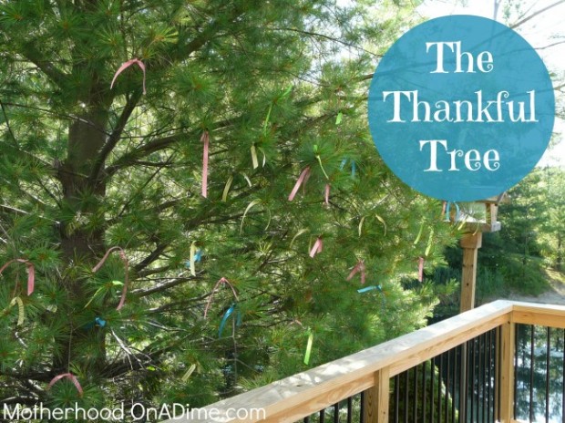 The thankful tree
