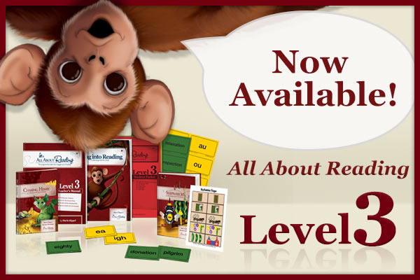 All About Reading Level 3