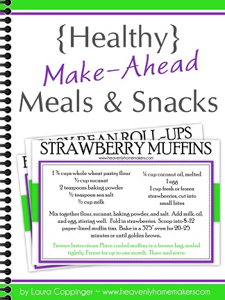 Make Ahead Meals and Snacks