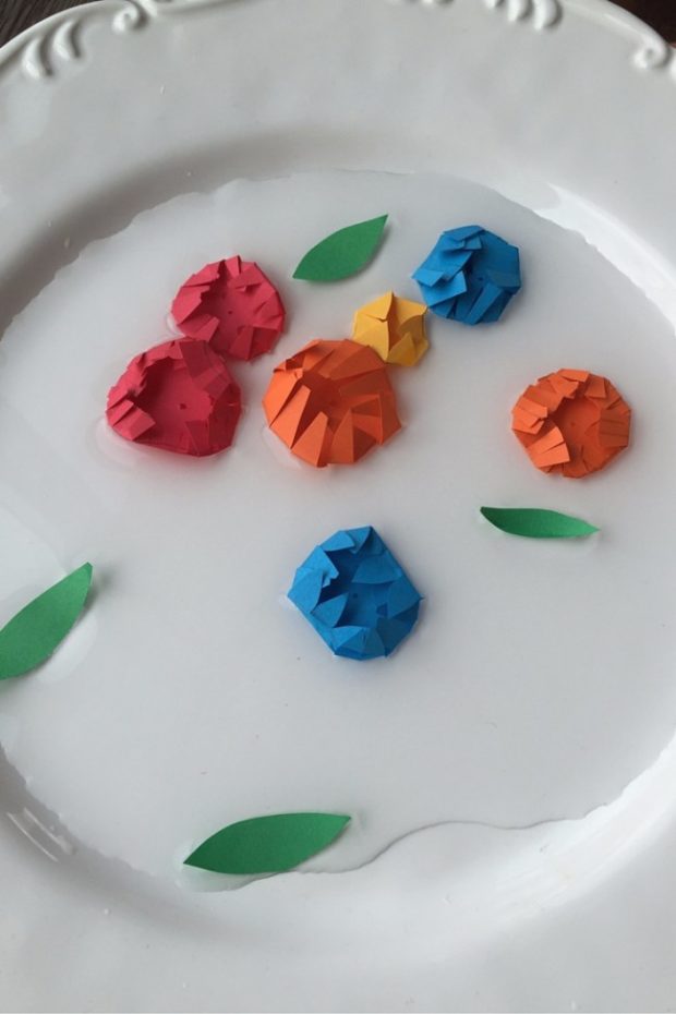 garden of blooming paper flowers (11)