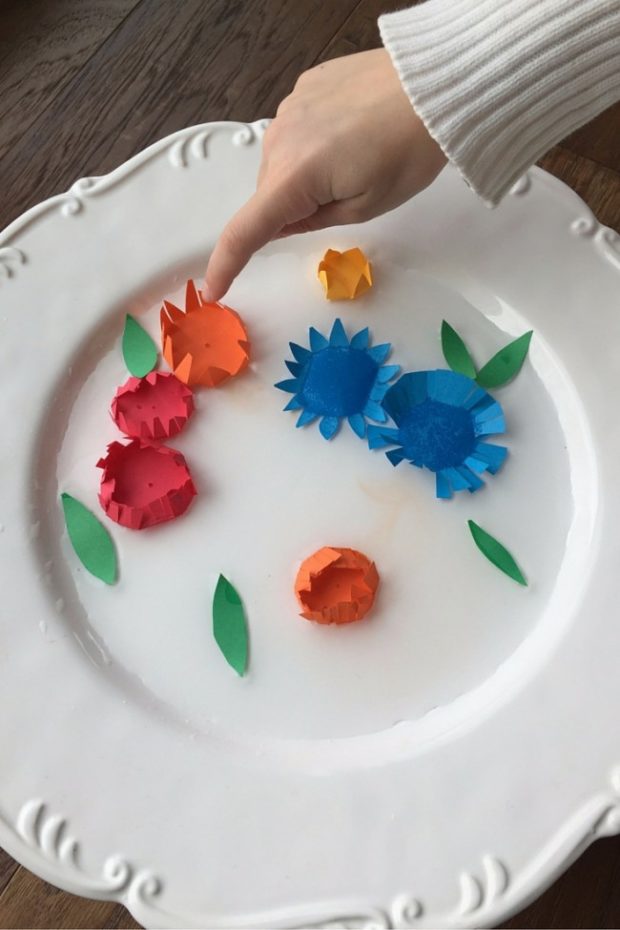 garden of blooming paper flowers (13)