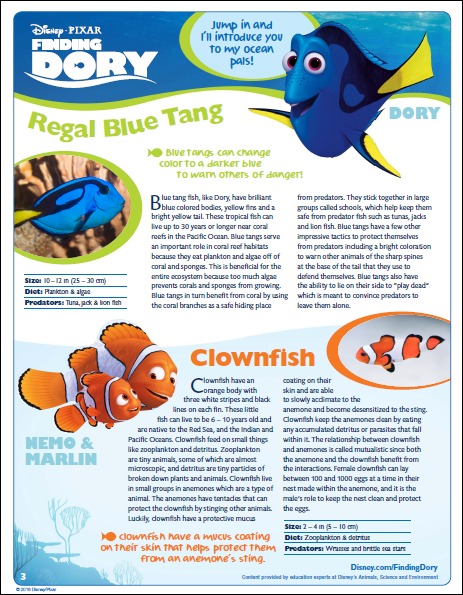 Finding Dory Educational Activity Book