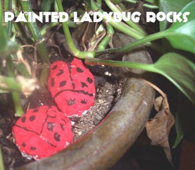 lady bug craft