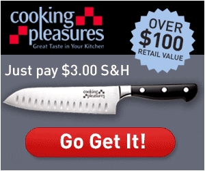 $3 cooking knife