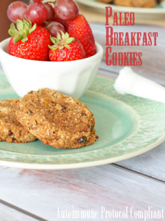 paleo breakfast cookies