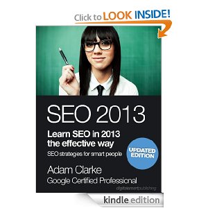seo 2013