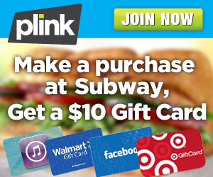 plink subway purchase