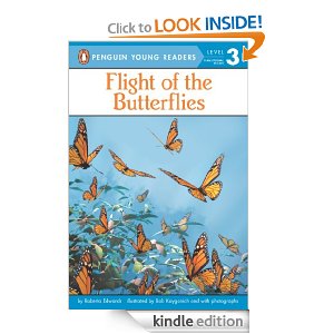 flight of the butterflies