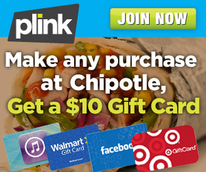 670813300x250_chipotle