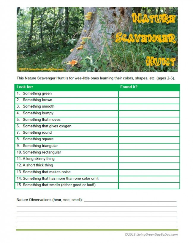 Nature-Scavenger-Hunt-Ages-2-5