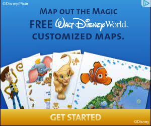 custom disney wall map