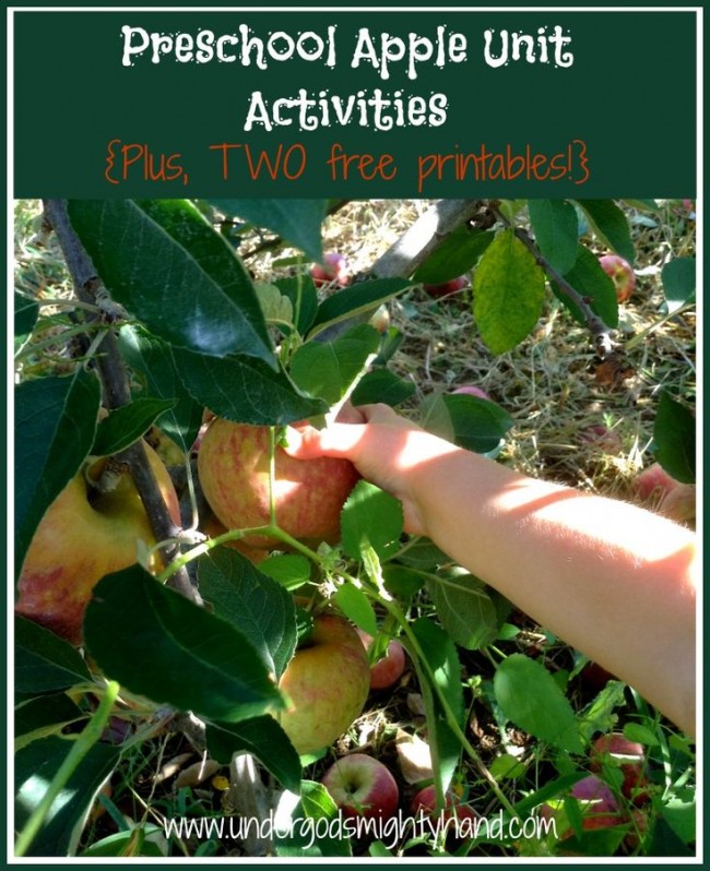 preschool apple unit