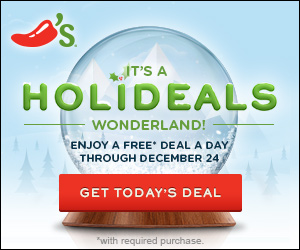 Holideals_11.27.13_Globe_v1_300x250