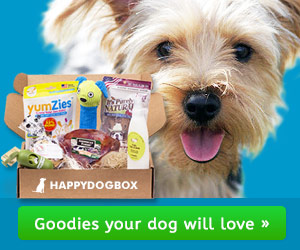 HDB_small_dog_300x250