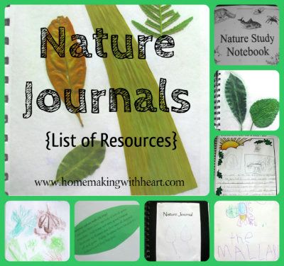 Nature Journals