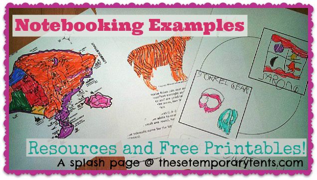 Notebooking Examples