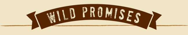 title-wild-promises