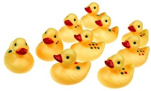 Learning Resources ducks