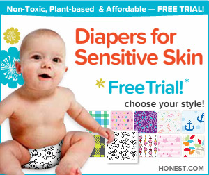20140721102619-300x250_diapers_designer