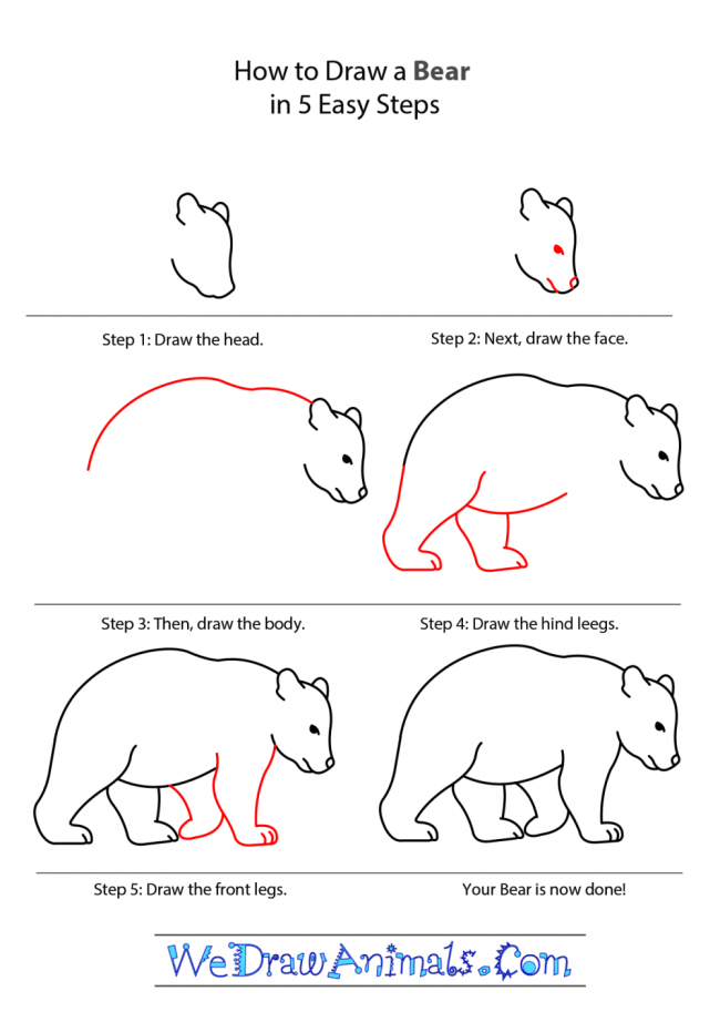 How-to-Draw-a-Bear-tutorial