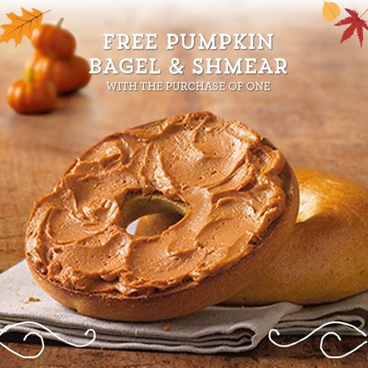Pumpkin-Bagel-and-Shmear