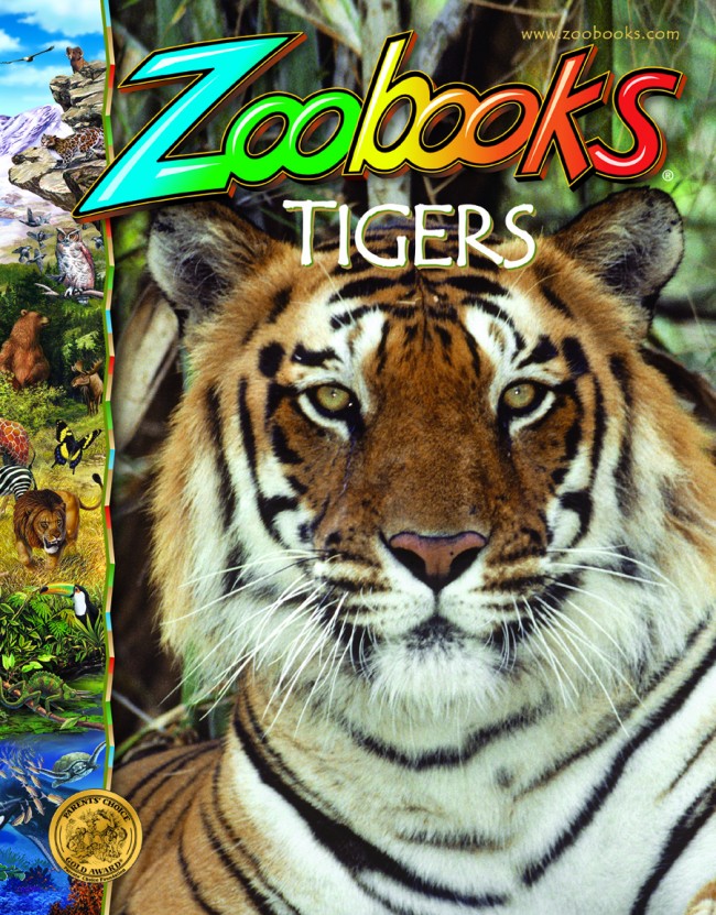 zoobookstiger