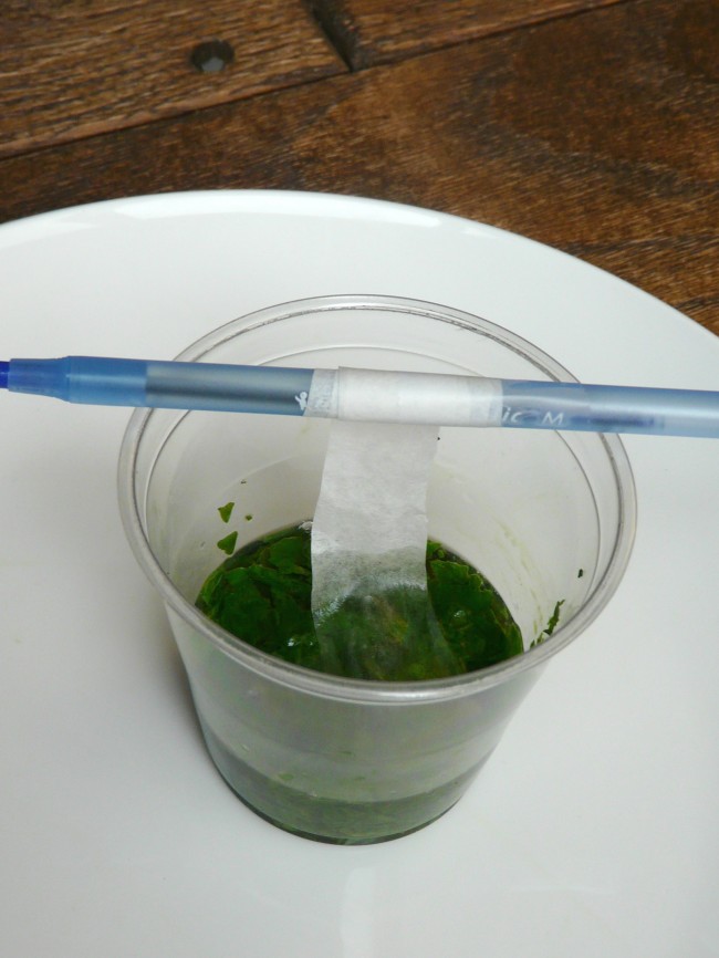 how polish is nail remover made Do Leaves Experiment Change Science Colors? with Why A