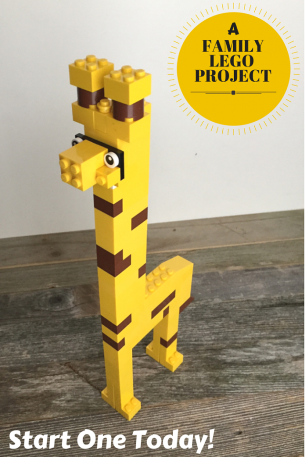 A Family Lego Project