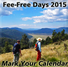 Promo-FeeFree-2015