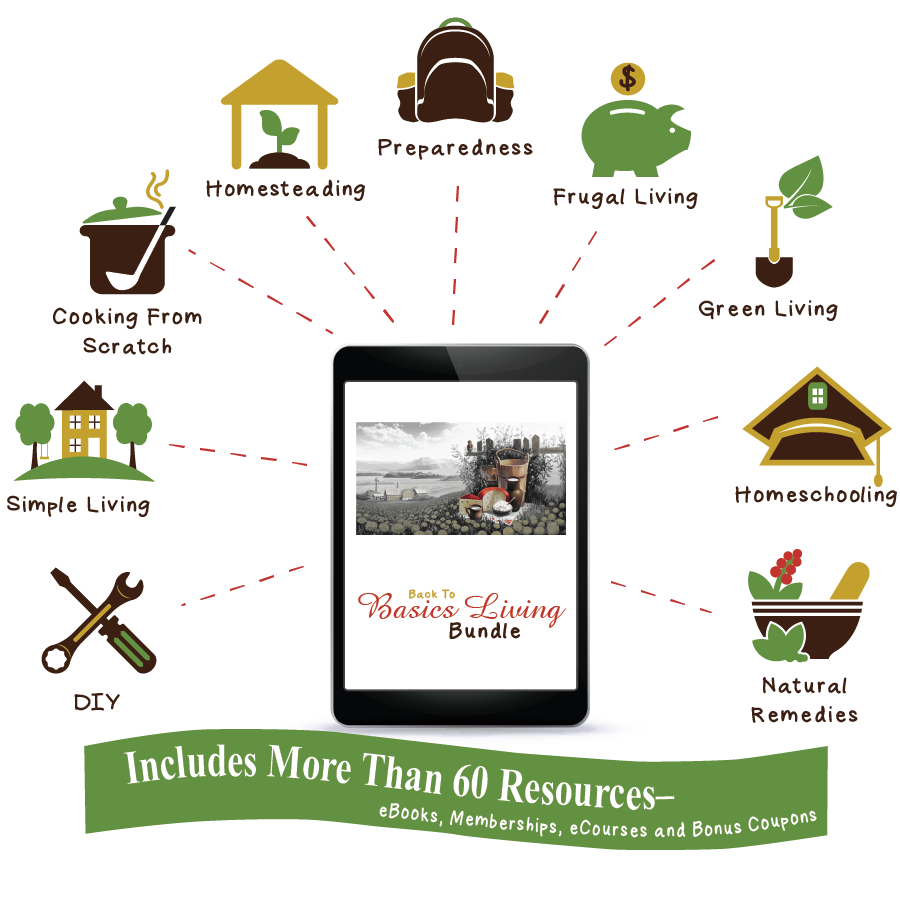 Back to Basics Bundle