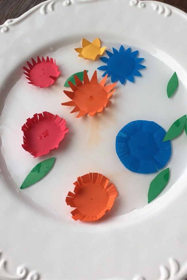How to Amaze Your Kids With Blooming Paper Flowers Kids Activities