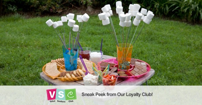 Dollar Tree VSC Frugal Craft Idea