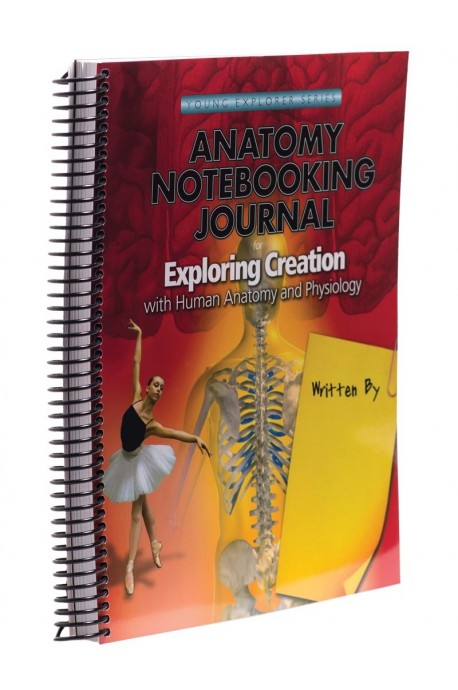 anatomy-notebooking-journal